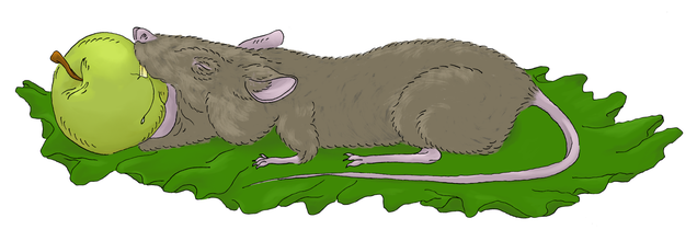 Illustration for article titled How Garbage Trends Are Killing Good Food